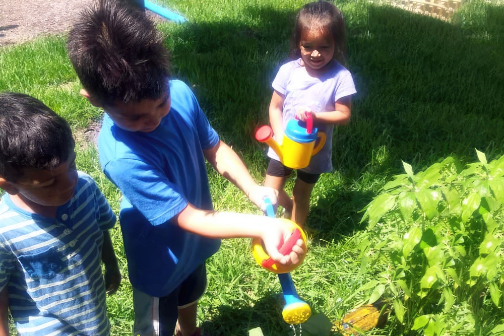 Basketball And Gardening Inspire Outdoor Activity